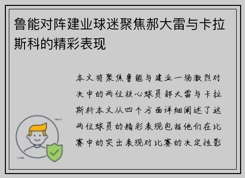 鲁能对阵建业球迷聚焦郝大雷与卡拉斯科的精彩表现