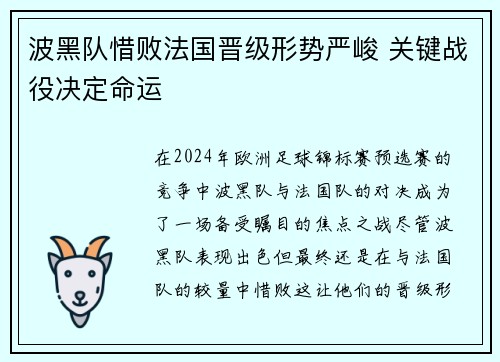 波黑队惜败法国晋级形势严峻 关键战役决定命运