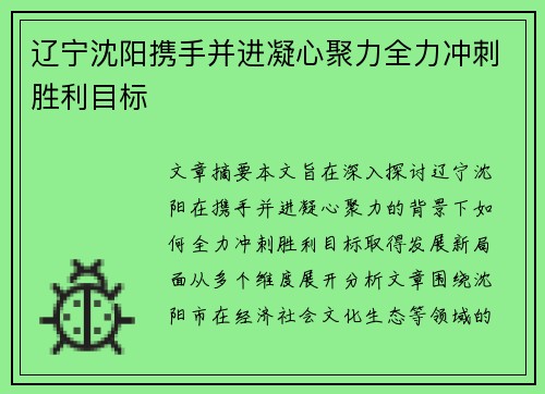 辽宁沈阳携手并进凝心聚力全力冲刺胜利目标